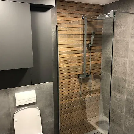 公寓 Apartament Spokojny 维斯拉
